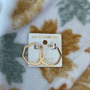 Gold Hexagon Hoop Earrings NWT 14K Gold Dipped $10